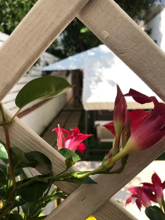 Bed & Breakfast Virgilio’s Garden